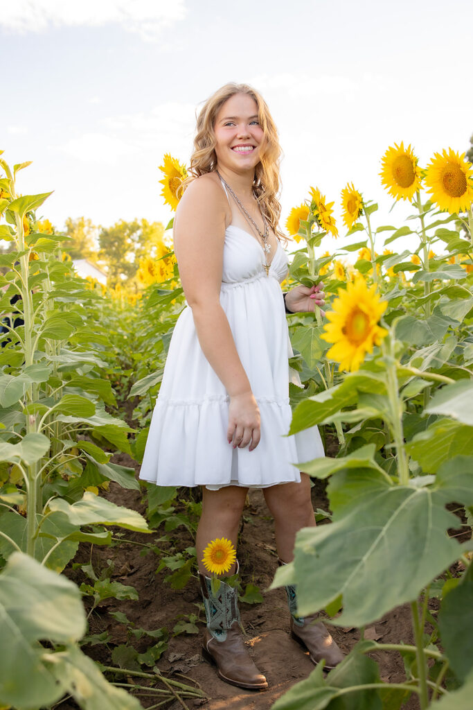 Sunflower Fields